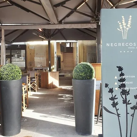 Negrecoste Hôtel&spa Hotel Aix-en-Provence